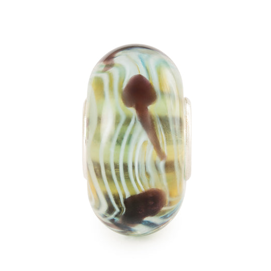 Tadpole's Journey Bead