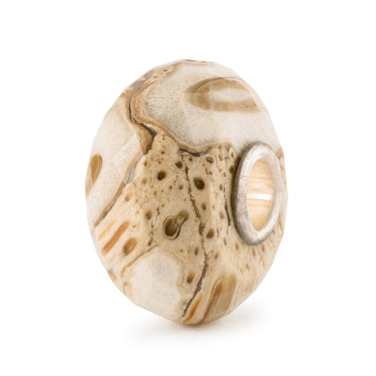 Fossilised Wood Bead by Trollbeads. Faceted Beads.