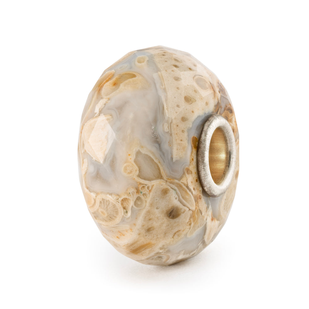 Fossilised Wood Bead by Trollbeads. Faceted Beads.