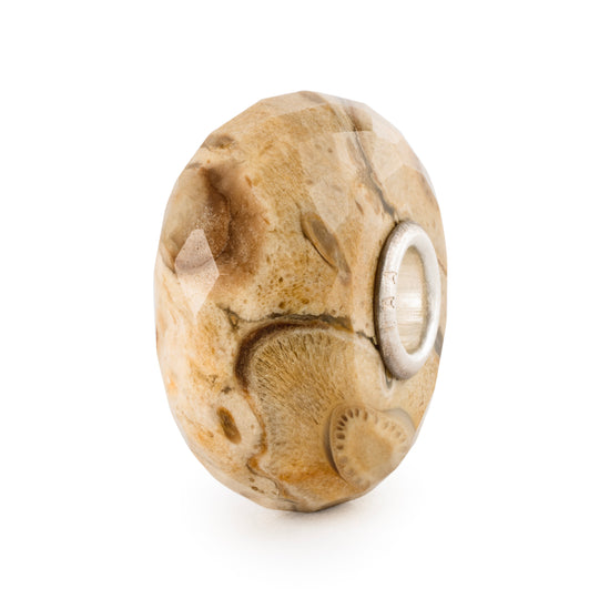 Fossilised Wood Bead