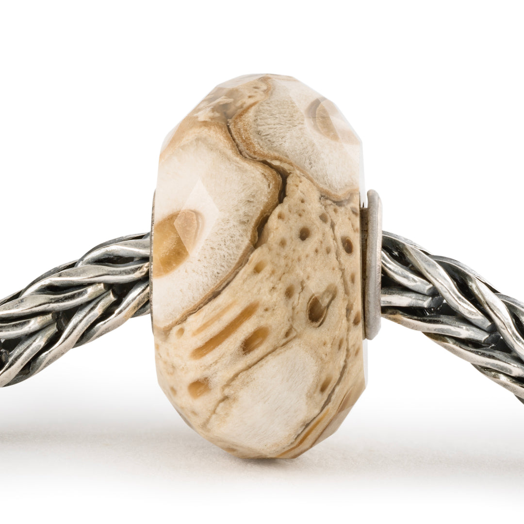 Fossilised Wood Bead by Trollbeads. Faceted Beads.