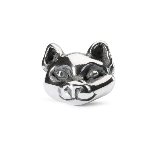 Wilful Cat Bead