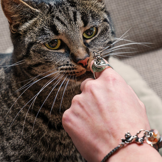 Cat at Ease Fantasy Ring by Trollbeads. Customisable Ring.