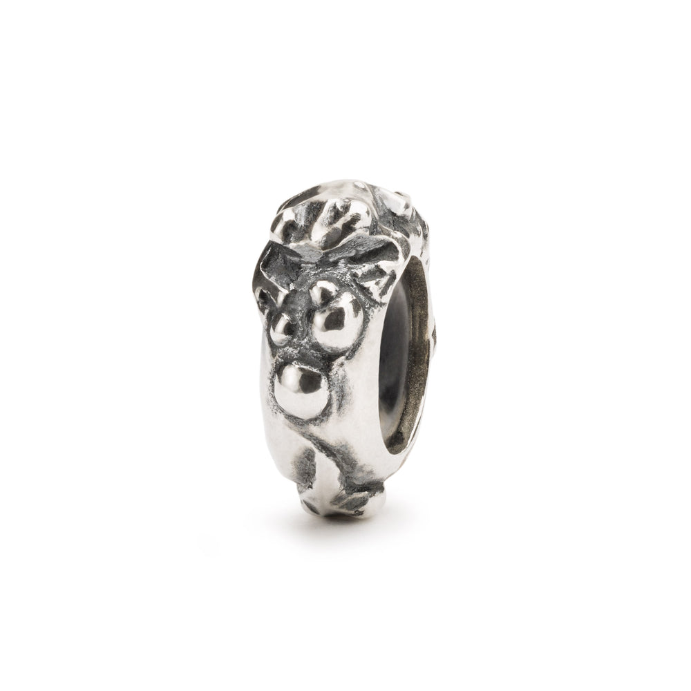 Evolution Spacer by Trollbeads. Spacer.