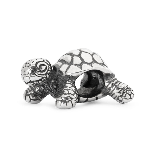 African Tortoise by Trollbeads. Classic Beads.