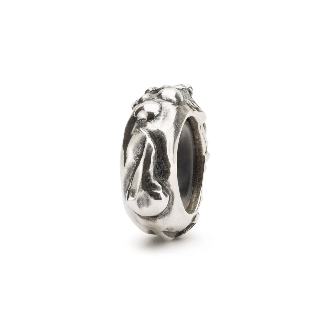 Evolution Spacer by Trollbeads. Spacer.